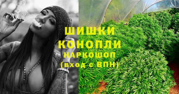 ПСИЛОЦИБИНОВЫЕ ГРИБЫ Алзамай