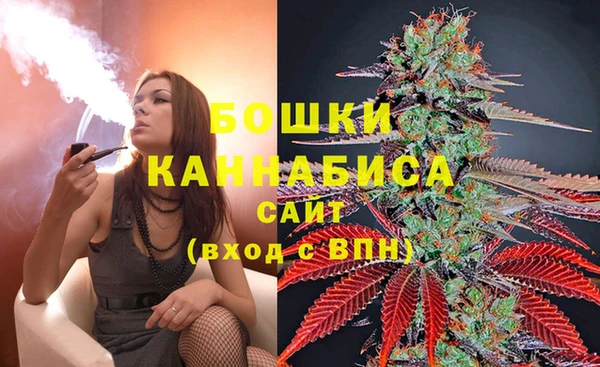 мяу мяу мука Абаза