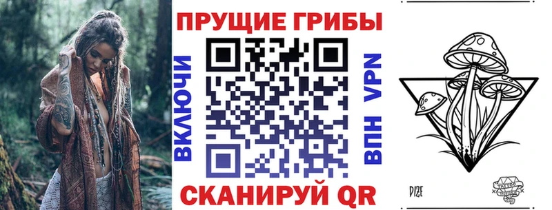 хочу Трубчевск Псилоцибиновые грибы прущие грибы